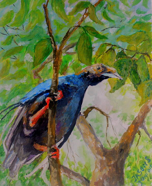 Bird Art Print featuring the painting Angel Bird of North Moluccas by Jason Sentuf