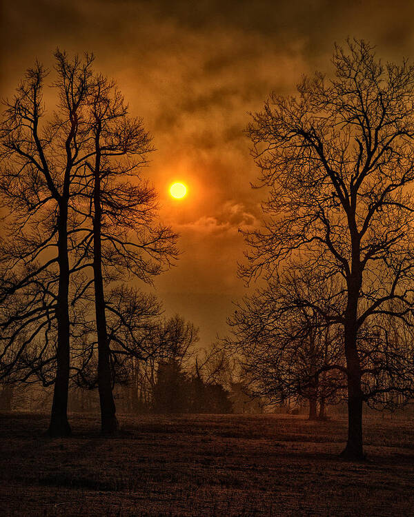 Surrealism Art Print featuring the photograph Apocalypse Sunrise by Michael Dougherty