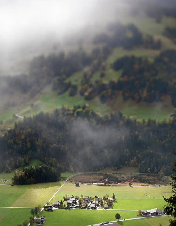 Simmental Cattle Art Print featuring the photograph Autumn Landscape In Bernese Oberland by Pidjoe