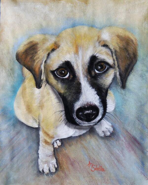 Puppies Art Print featuring the painting Baby Addie by Annamarie Sidella-Felts