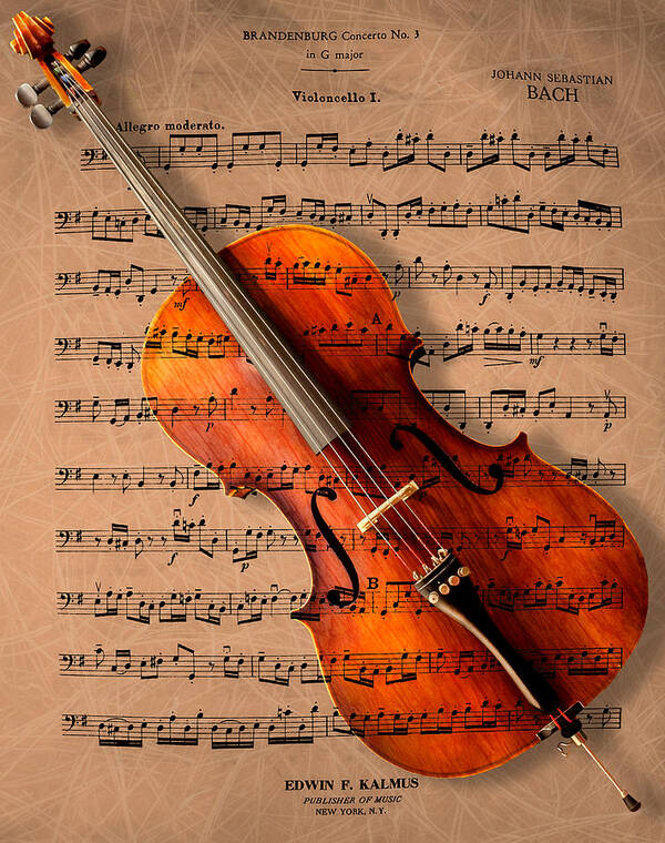 Cello Art Print featuring the photograph Bach on Cello by Sheryl Rae