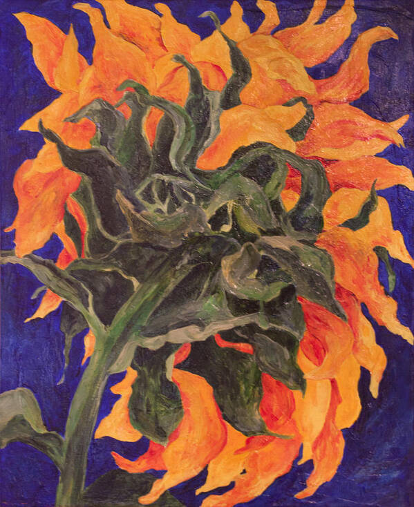 Sunflower Art Print featuring the painting Back of Sunflower by Sally Quillin