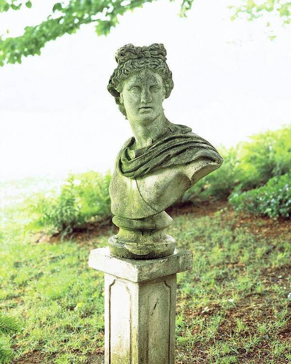 Exterior Art Print featuring the photograph Barbara Cirkva Bust Of Apollo by Dana Gallagher