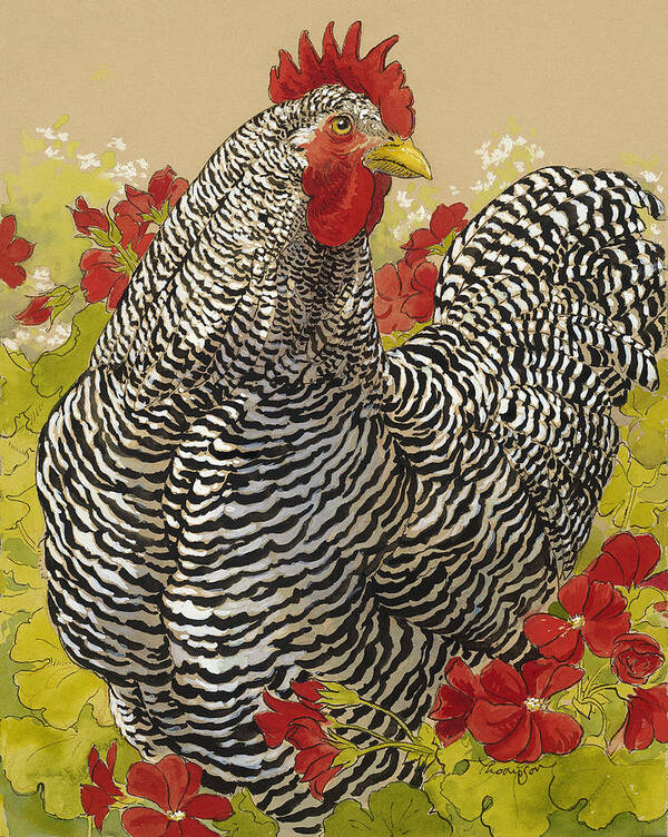 Chicken Art Print featuring the painting Barred Rock Rooster in the Geraniums by Tracie Thompson