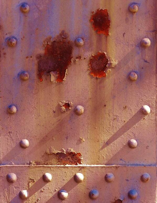 Rust Photographs Art Print featuring the photograph Blooms of Rust and Shadow by Charles Lucas