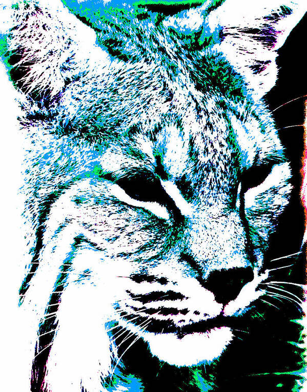 Bobcat Art Print featuring the photograph Blue Abstract Bobcat by Mark Moore