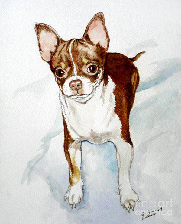Dog Art Print featuring the painting Chihuahua white chocolate color. by Christopher Shellhammer
