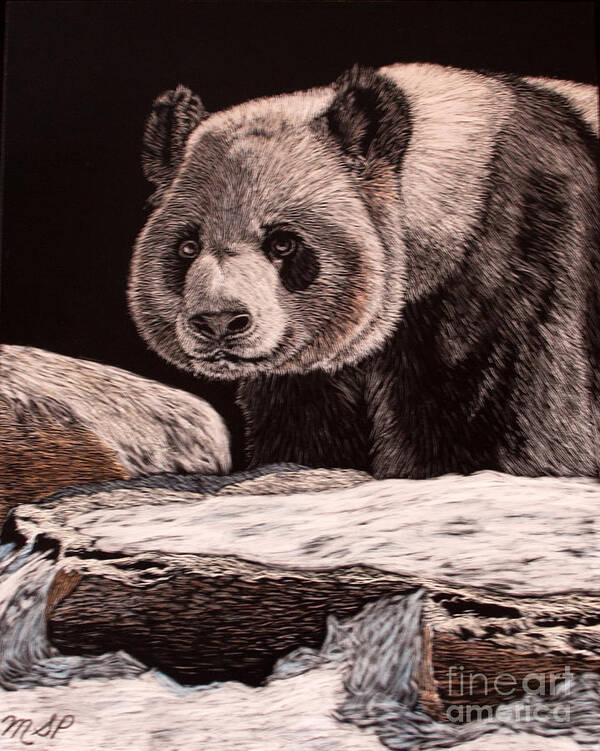Panda Bear Art Print featuring the painting Coming Out by Margaret Sarah Pardy