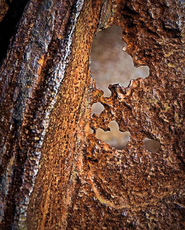 Rust Art Print featuring the photograph Corrosion by Nadalyn Larsen
