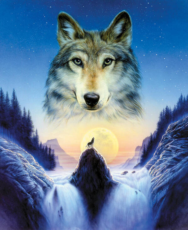 Wolf Art Print featuring the photograph Cosmic Wolf by MGL Meiklejohn Graphics Licensing