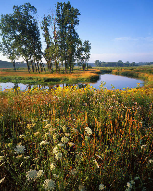 Sunset Art Print featuring the photograph Creek Bend by Ray Mathis