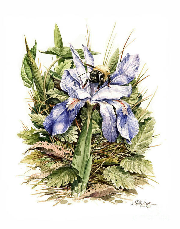 Wildflowers Art Print featuring the painting Crested Dwarf Iris by Bob George