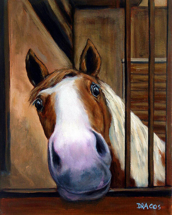 Horse Art Print featuring the painting Curious Paint Horse by Dottie Dracos