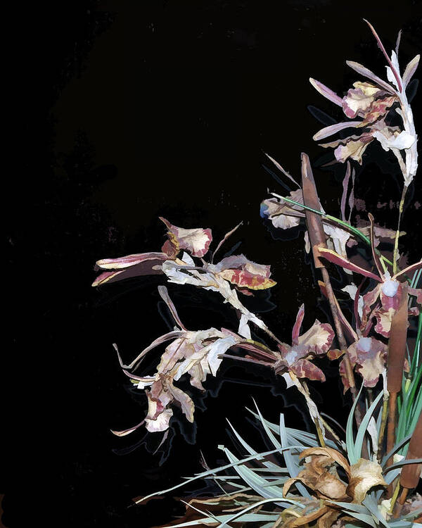 Orchid Art Print featuring the photograph Death of an Orchid by Sandy Poore