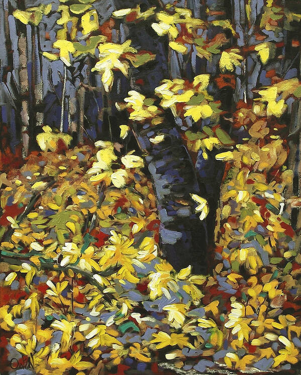Oil Painting Maple Trees Fall Colors Art Print featuring the painting Devonian Maple 2 by Rob Owen