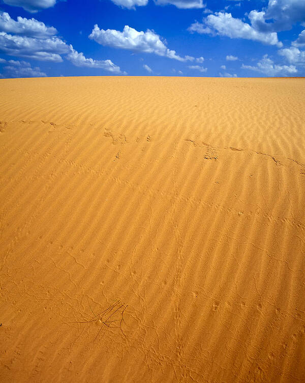 Clear Sky Art Print featuring the photograph Dunes by Richard Smith