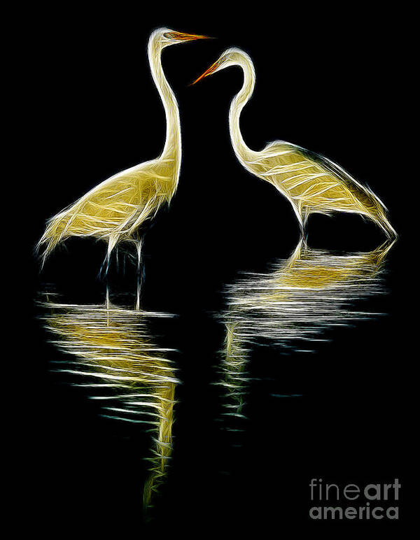 Abstract Art Print featuring the photograph Egret Pair by Jerry Fornarotto