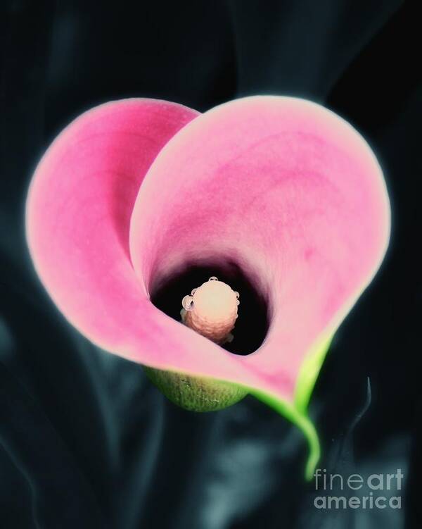 Heart Art Print featuring the photograph Enduring Heart by Sharon Woerner