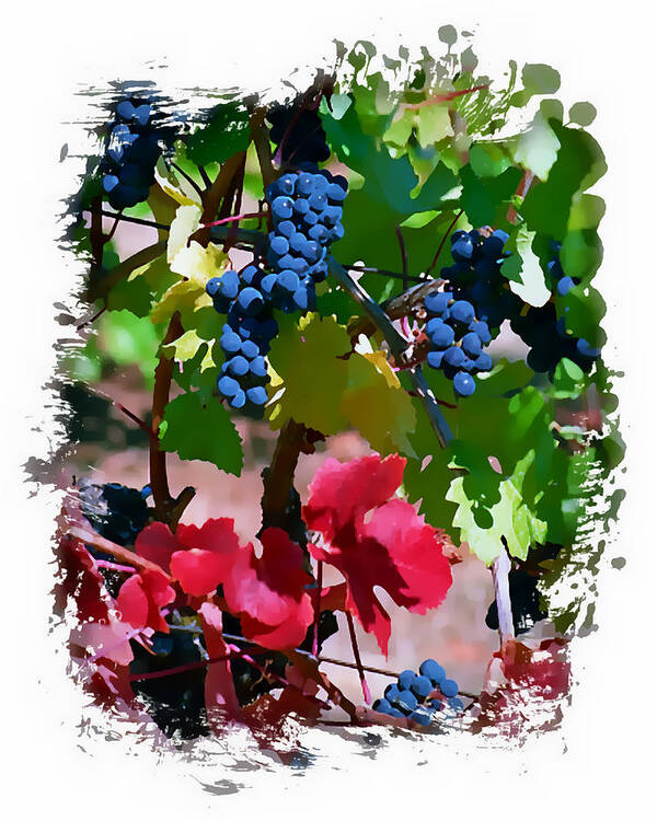 Wine Grapes Art Print featuring the digital art Fall Delight II by Ken Evans