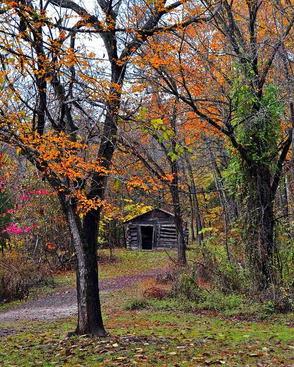 Fall Colors Art Print featuring the photograph Fall Homestead by Marty Koch