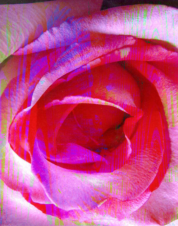  Rose Flower Art Print featuring the digital art Feelings by Yael VanGruber