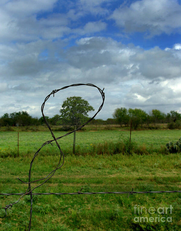 Fenced In Art Print featuring the photograph Fenced In by Peter Piatt