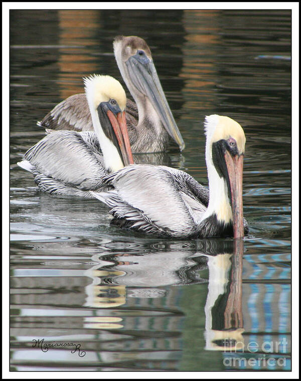 Fauna Art Print featuring the photograph Friendly Stroll by Mariarosa Rockefeller