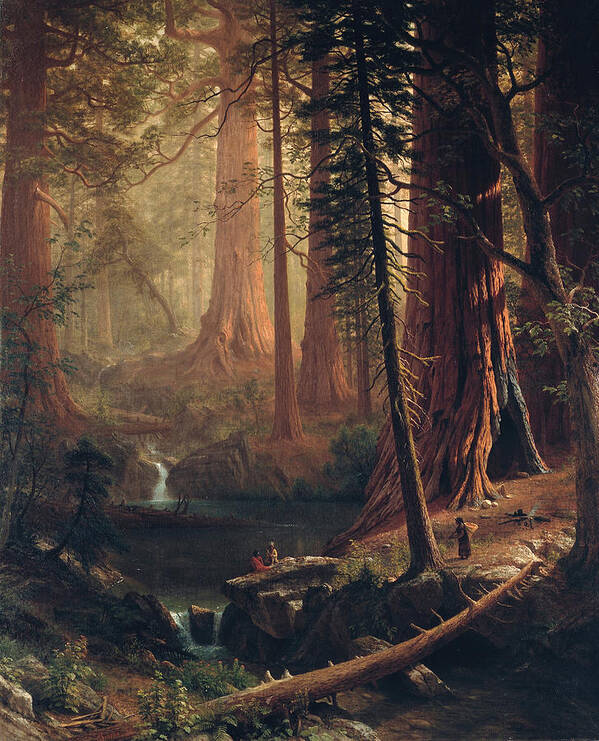  Albert Bierstadt Art Print featuring the painting Giant Redwood Trees of California by Albert Bierstadt