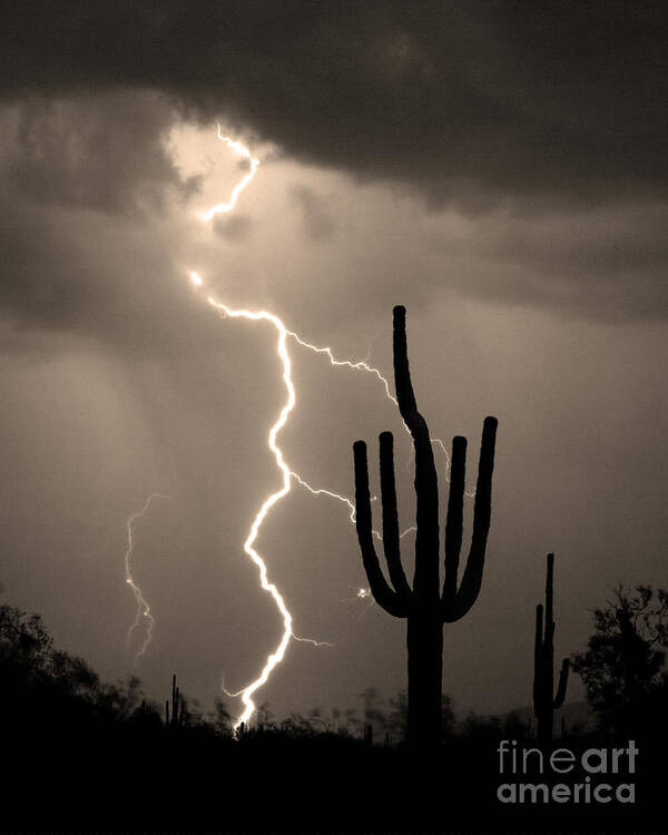 Weather Art Print featuring the photograph Giant Saguaro Cactus Lightning Strike Sepia by James BO Insogna