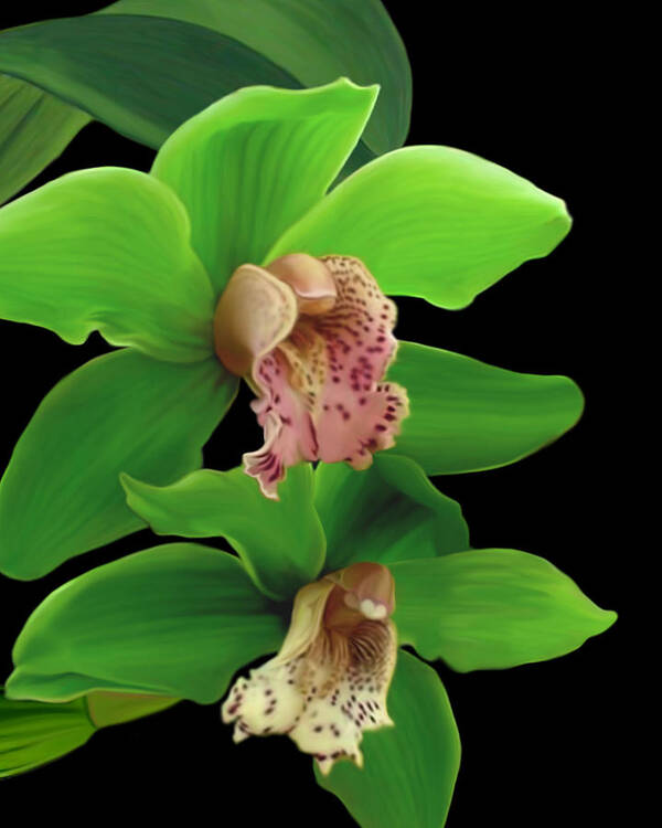 Green Art Print featuring the mixed media Green Orchids by Anthony Seeker