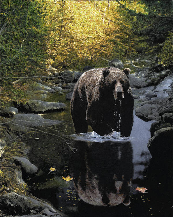 Grizzly Bear Art Print featuring the drawing Grizzly Reflection by Brent Ander