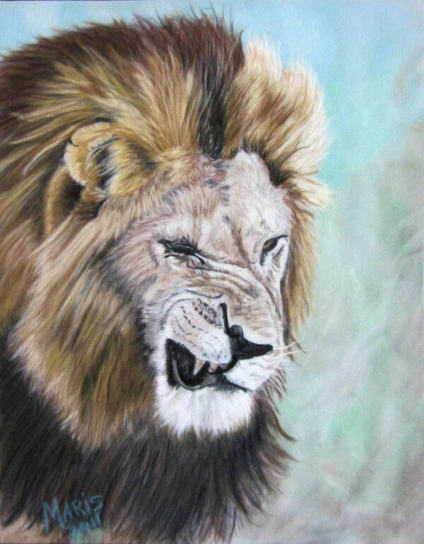 Lion Art Print featuring the painting Grouchy by Maris Sherwood