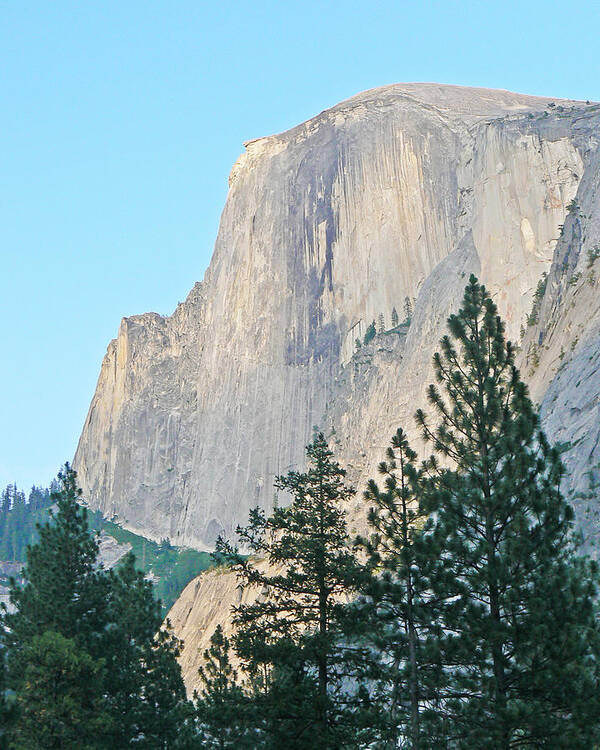 Yosemite Art Print featuring the photograph Half Dome Yosemite by Laurel Powell