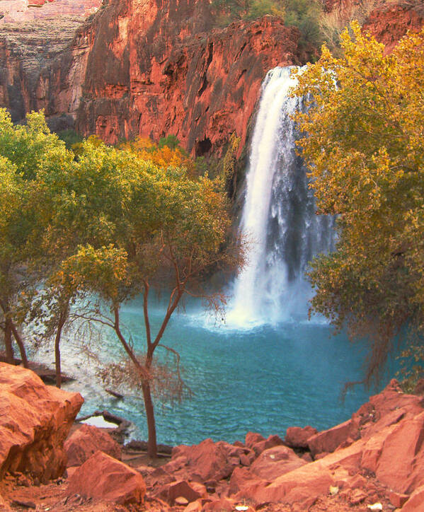 Havasu Art Print featuring the photograph Havasu Falls by Alan Socolik