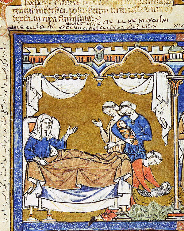 13th Century Art Print featuring the painting Hiding Of Infant Moses by Granger