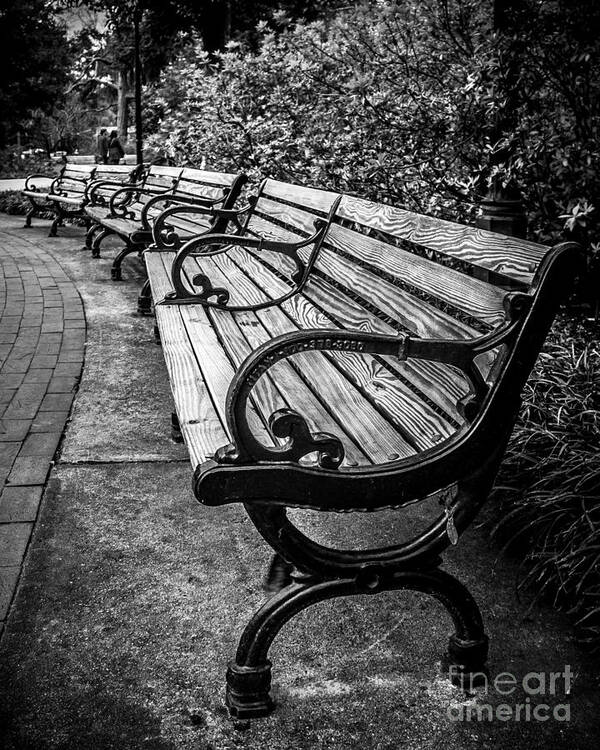 Bench Art Print featuring the photograph In The Park by Perry Webster