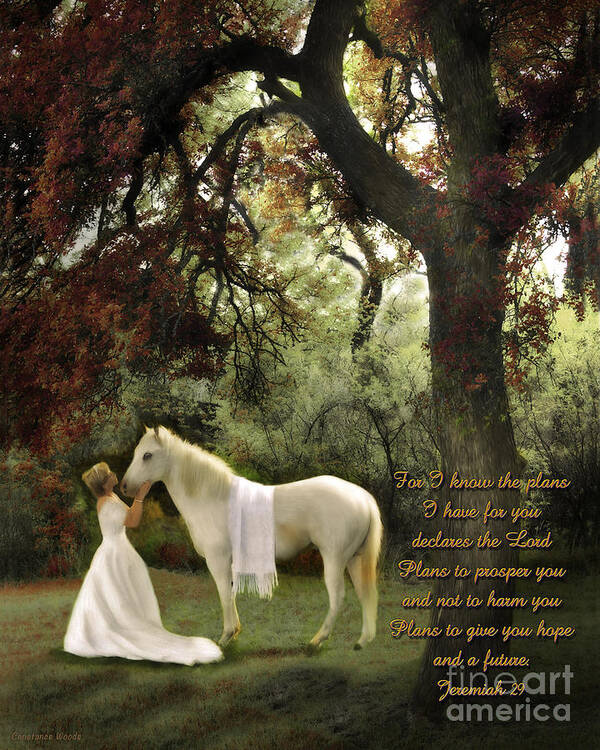 Horse Art Print featuring the photograph Jeremiah 29 by Constance Woods