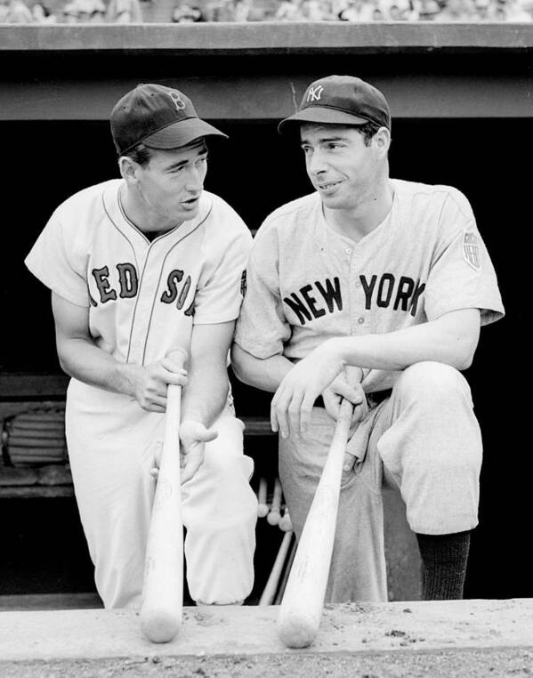 #faatoppicks Art Print featuring the photograph Joe DiMaggio and Ted Williams by Gianfranco Weiss