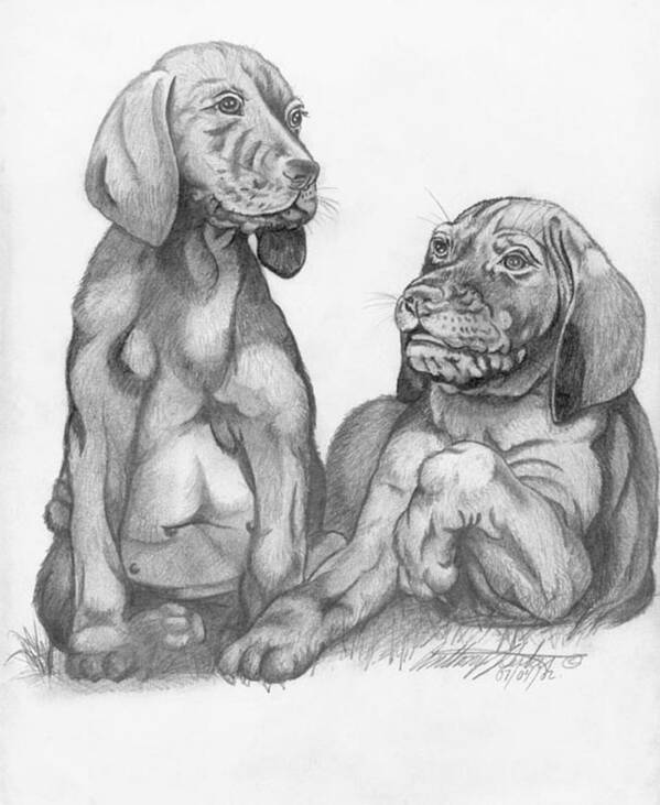 Labrador Puppies Art Print featuring the drawing Labrador Retriver Puppies by Anthony Seeker