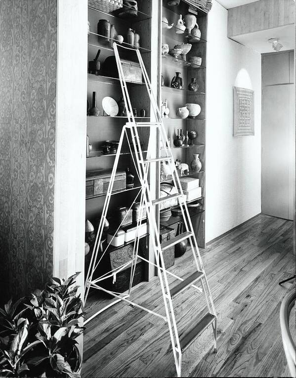 Indoors Art Print featuring the photograph Ladder By Shelves by Tom Leonard
