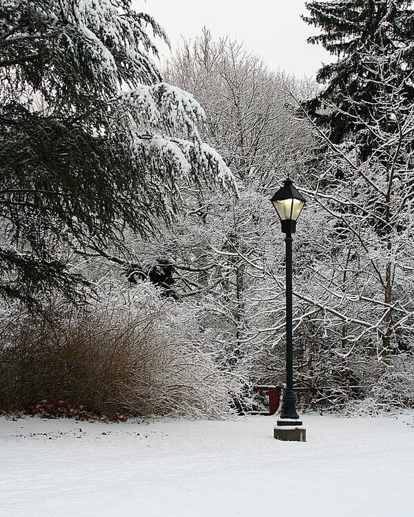 Lamp Post Art Print featuring the photograph Lamp Post in Winter by William Selander