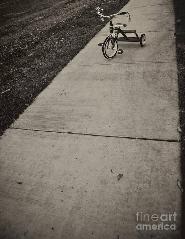 Tricycle Photographs Art Print featuring the photograph Lifes Adventures Pedal to the Pavement by David Millenheft