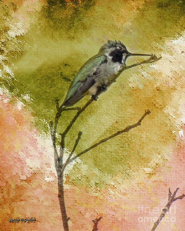 Hummingbird Art Print featuring the photograph Little Hummingbird by Rhonda Strickland