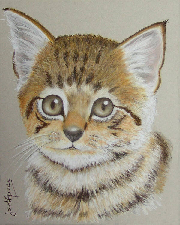 Cat Art Print featuring the pastel Little Kitty by Janet Garcia