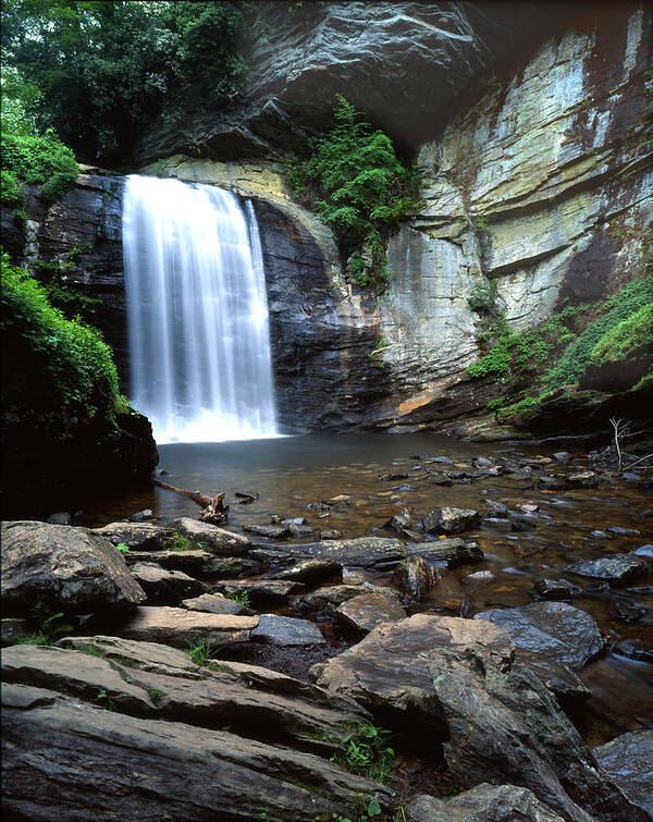 Looking Glass Falls Art Print featuring the photograph Looking Glass Falls by Ray Mathis