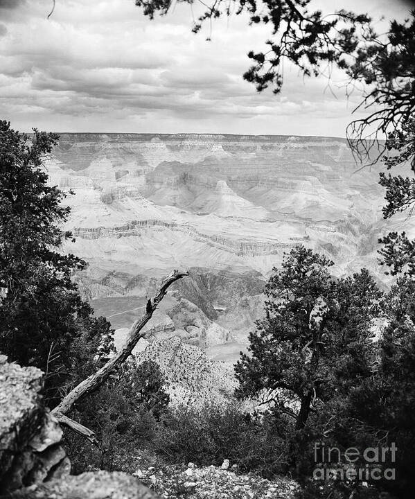 Grand Canyon Art Print featuring the photograph Majestic Grand Canyon from the Rim in Black and White by M K Miller