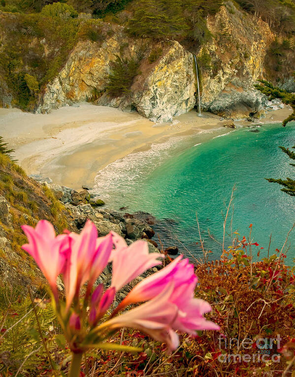 Mcway Falls Art Print featuring the photograph McWay Falls-3am adventure by David Millenheft