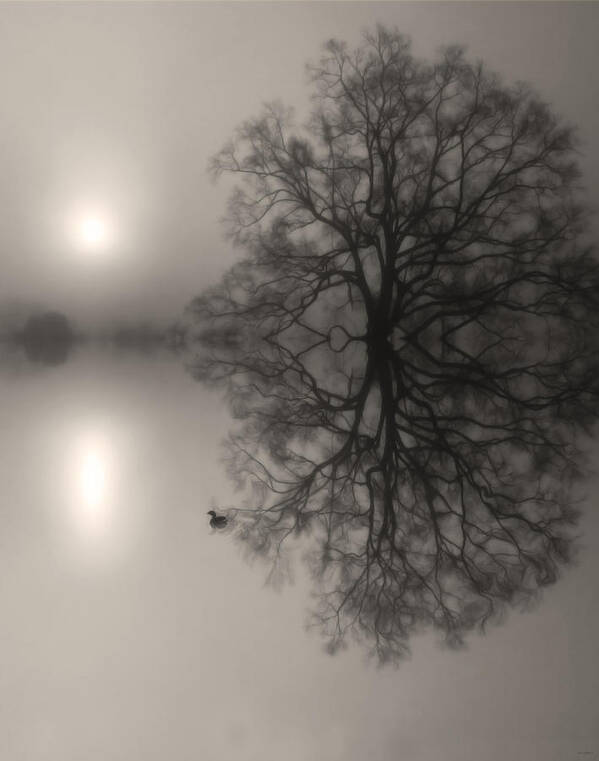 Art Art Print featuring the photograph Misty Water Oak by Deborah Smith
