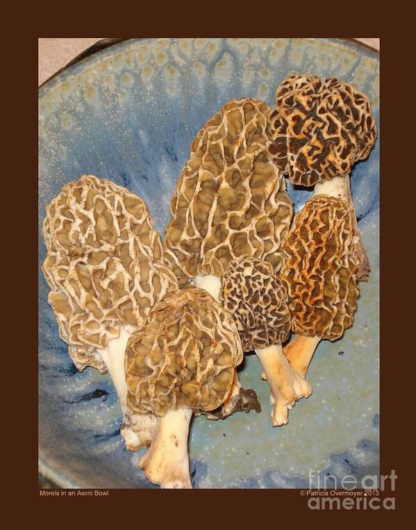Morel Art Print featuring the photograph Morels in an Aerni Bowl by Patricia Overmoyer
