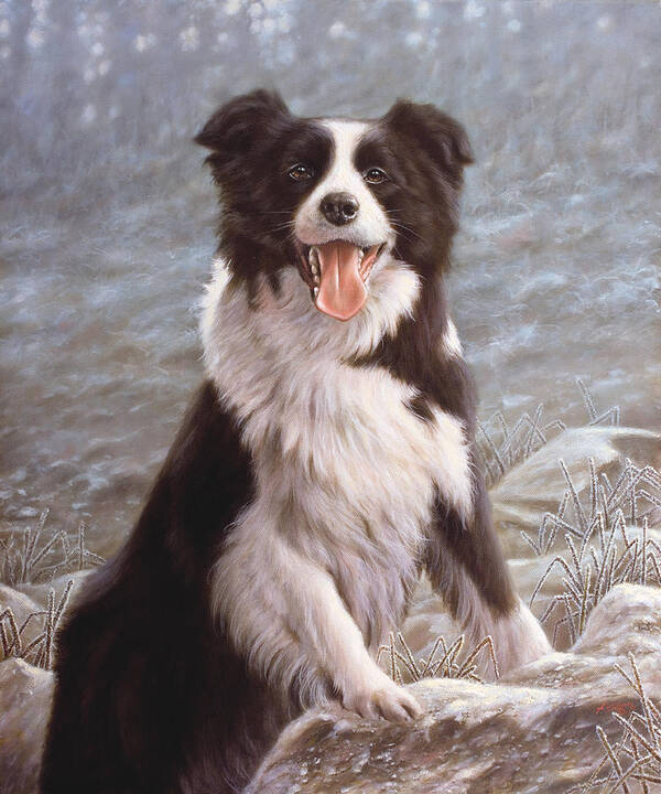 Border Collie Art Print featuring the painting Morning Frost by John Silver